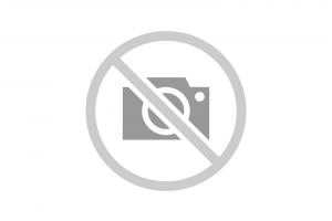 Audiciones de Primavera 10 Junio Adultos